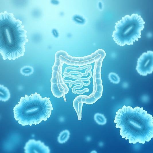 Comment équilibrer son microbiote intestinal naturellement