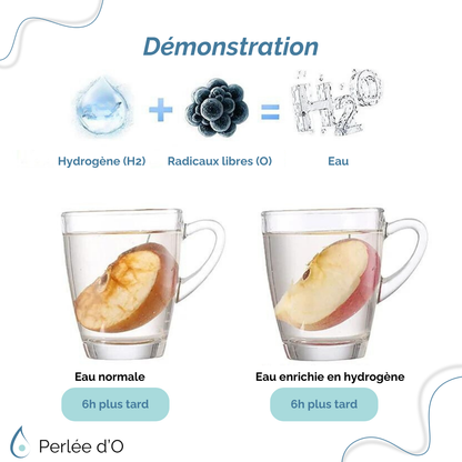 Démonstration de l’effet antioxydant de l’eau hydrogénée Perlée d’O™ : après 6 heures, une tranche de pomme conservée dans de l’eau enrichie en hydrogène reste intacte, tandis que celle dans l’eau classique s’oxyde et brunit.